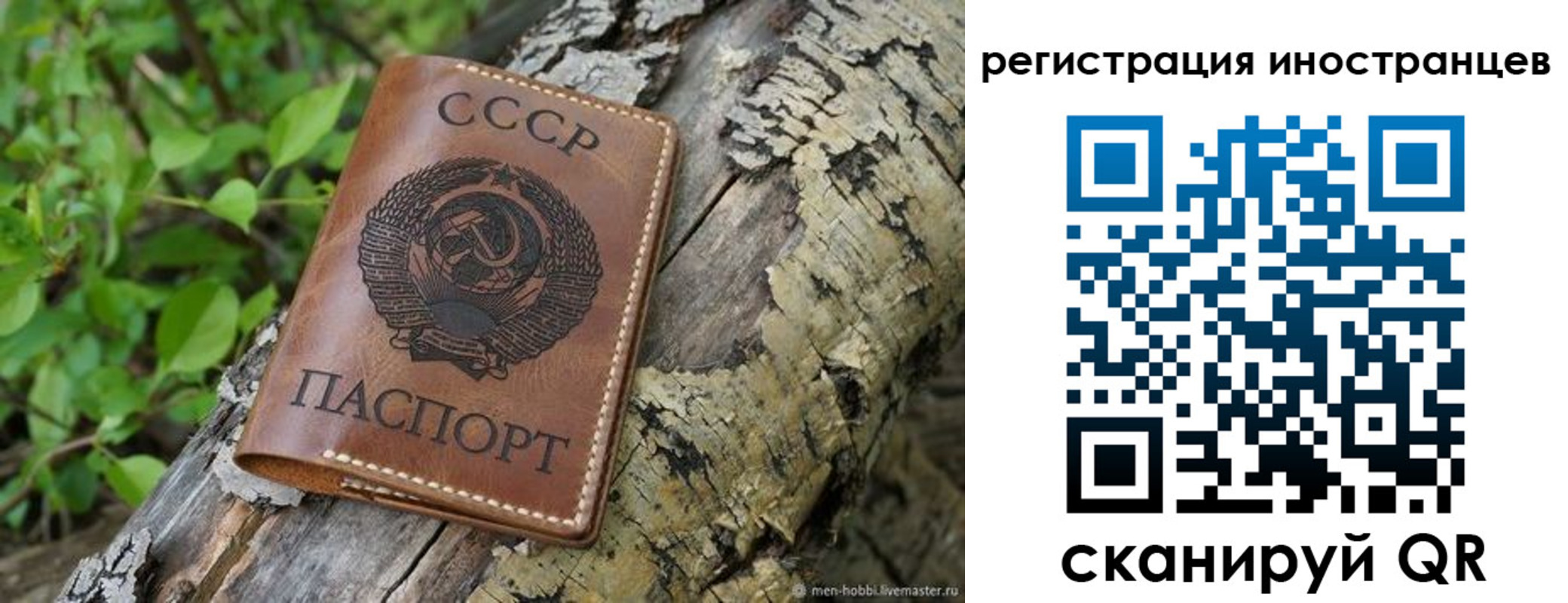 временная регистрация в Рассказово